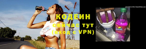 эйфоретик Баксан