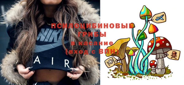 крисы Балахна