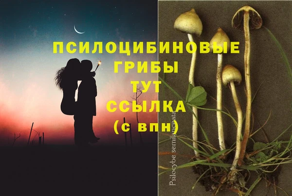 крисы Балахна