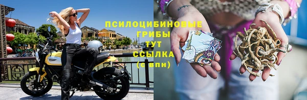 эйфоретик Баксан