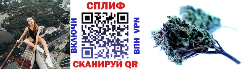 Бошки марихуана SATIVA & INDICA  купить наркотики цена  Новый Оскол 